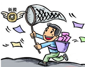 君禾股份(603617)中簽號(hào)查詢及進(jìn)出口業(yè)務(wù)解析